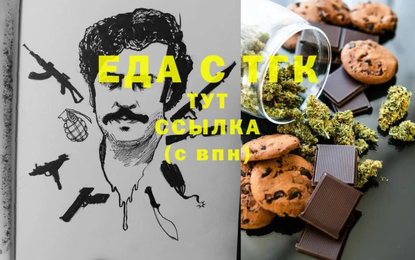 индика Касимов