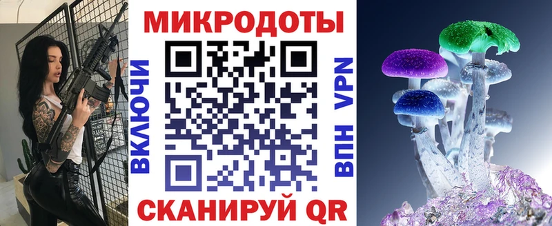 как найти   Конаково  Псилоцибиновые грибы мицелий 